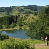 camping-les-sapins-camurac-ypncg