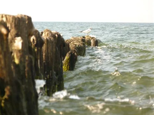 camping-nr-78-baltic-kolobrzeg-vuuaa