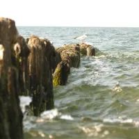 camping-nr-78-baltic-kolobrzeg-vuuaa