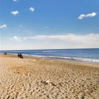 camping-dei-fiori-pietra-ligure-4jgvl