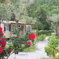 camping-dei-fiori-pietra-ligure-tmnbk