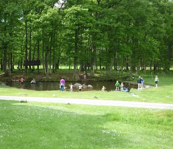 fisherground-farm-campsite-holmrook-4pap1