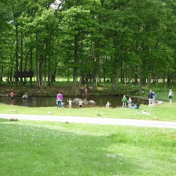 fisherground-farm-campsite-holmrook-4pap1