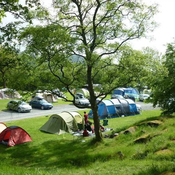 fisherground-farm-campsite-holmrook-but0b