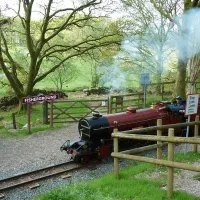 fisherground-farm-campsite-holmrook-dtgxw