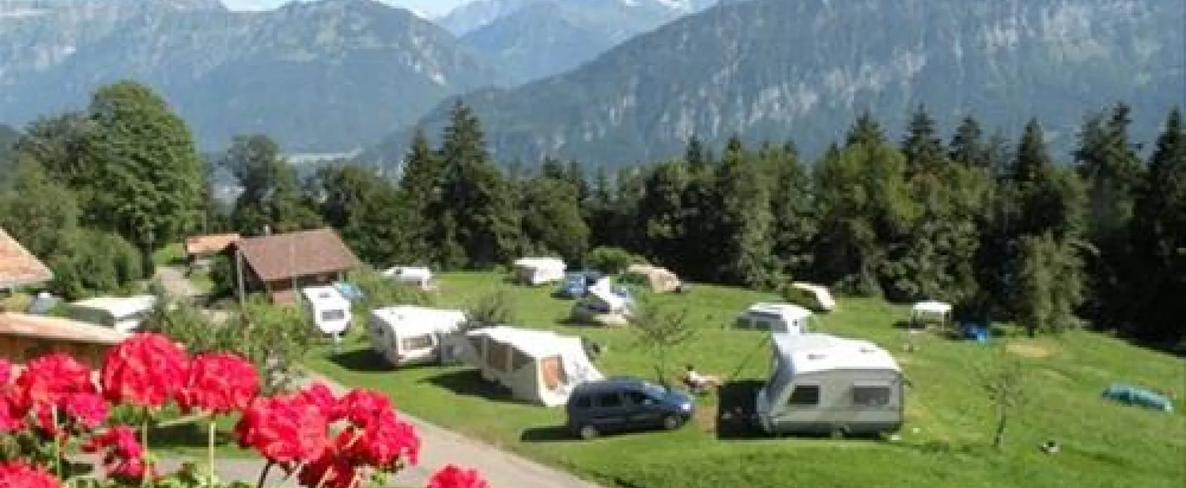 Camping Wang