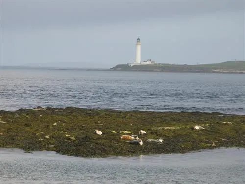 point-of-ness-caravan-and-camping-stromness-in6fd
