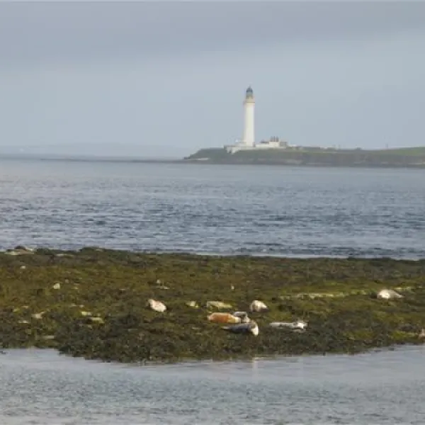point-of-ness-caravan-and-camping-stromness-in6fd