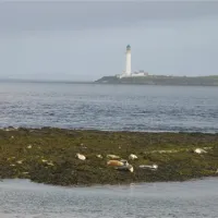 point-of-ness-caravan-and-camping-stromness-in6fd