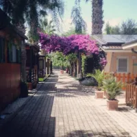 Campeggio Adriatico