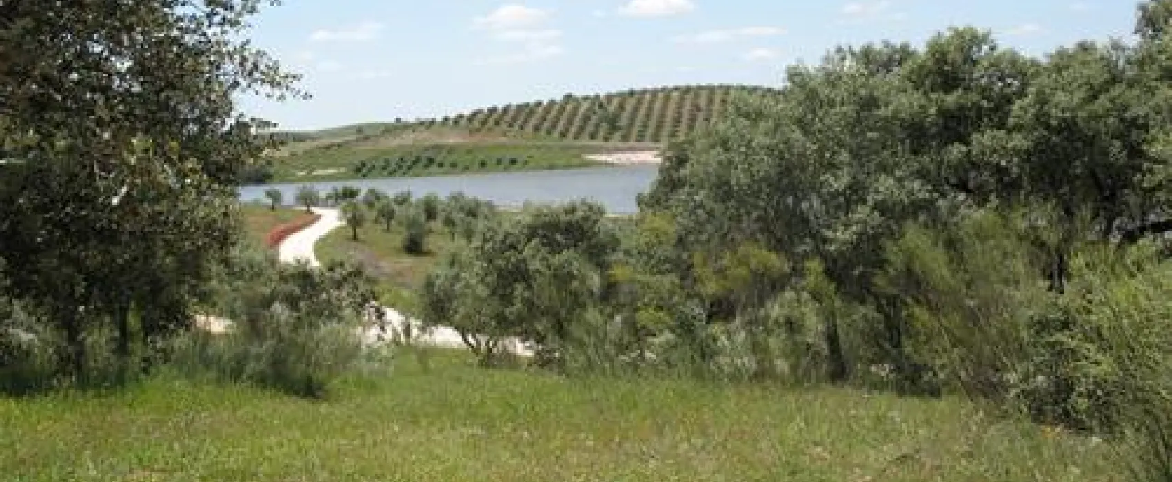 Camping Rosário