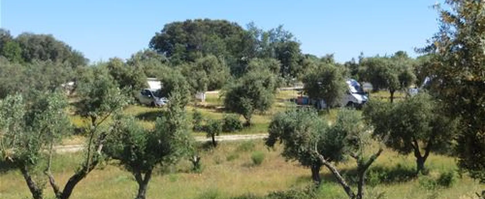 Camping Rosário