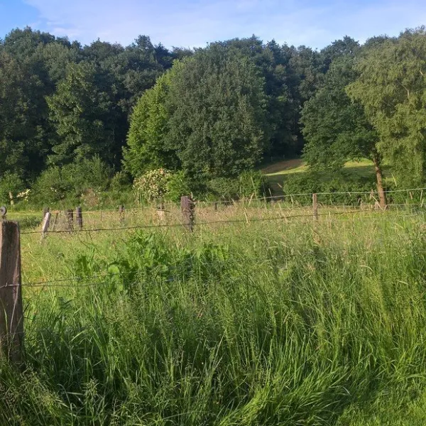 wylerberg-berg-en-dal-orb3n