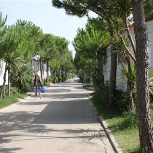 campeggio-riva-nuova-martinsicuro-grqz4