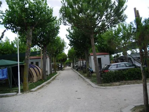 campeggio-riva-nuova-martinsicuro-mzfrh
