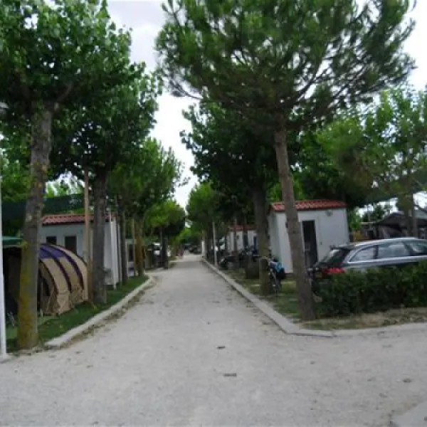 campeggio-riva-nuova-martinsicuro-mzfrh