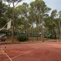camping-interpals-platja-de-pals-l6aan