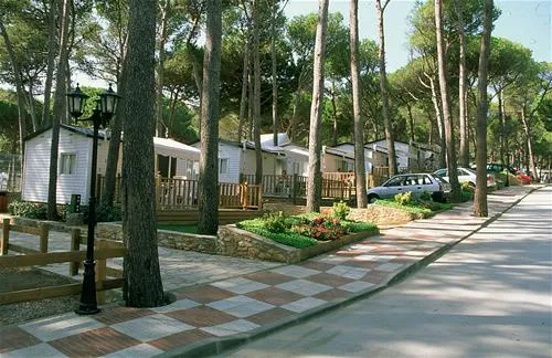 camping-interpals-platja-de-pals-txh5d