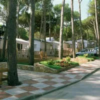 camping-interpals-platja-de-pals-txh5d