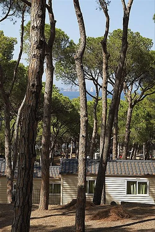 camping-interpals-platja-de-pals-vvfcp