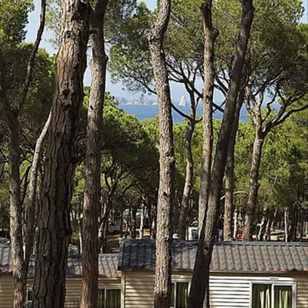 camping-interpals-platja-de-pals-vvfcp