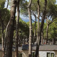 camping-interpals-platja-de-pals-vvfcp
