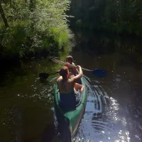 camping-de-hoogte-eesveen-n3clj
