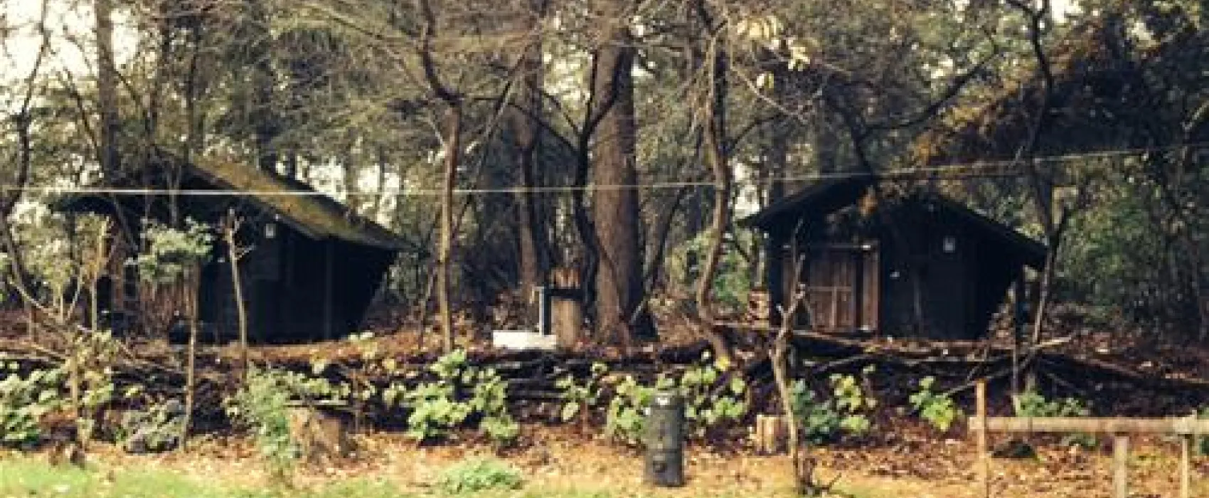 Natuurcamping De Hoogte