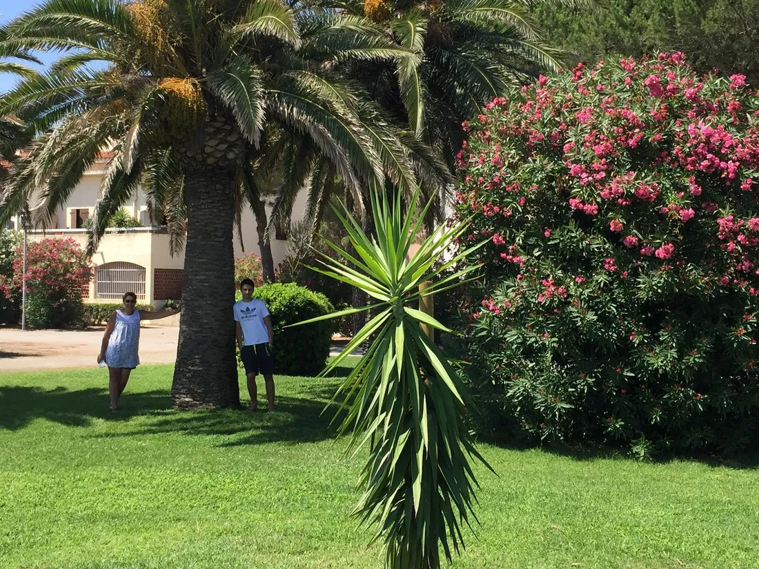 camping-le-pinada-villerouge-la-cremade-pvwv5