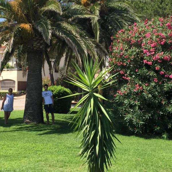 camping-le-pinada-villerouge-la-cremade-pvwv5