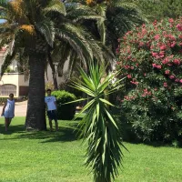 camping-le-pinada-villerouge-la-cremade-pvwv5