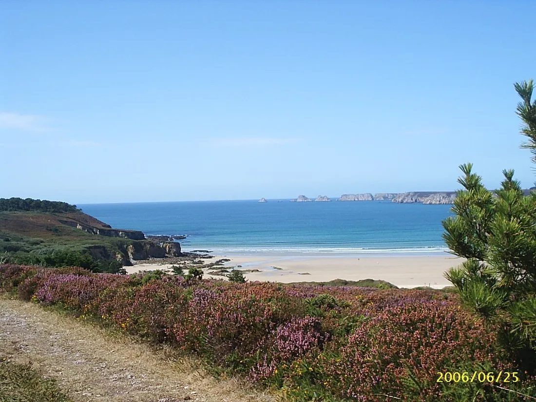 les-pins-crozon-amidr