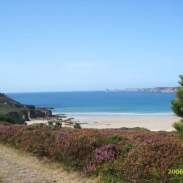 les-pins-crozon-amidr