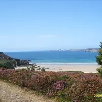 les-pins-crozon-amidr
