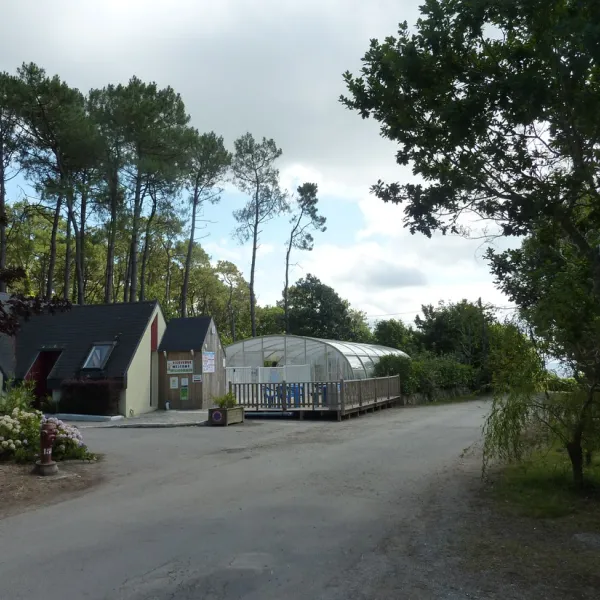 les-pins-crozon-j8xas