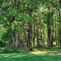 camping-les-trexons-gerbepal-qzw6m