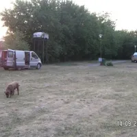 camping-dunav-belgrade-eyikh