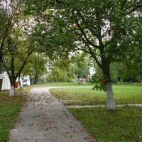camping-dunav-belgrade-mraie