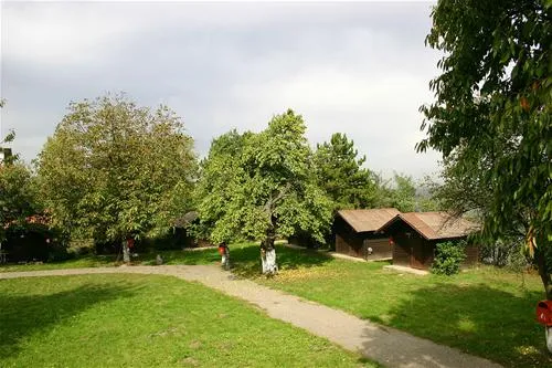 camping-dunav-belgrade-nwls8