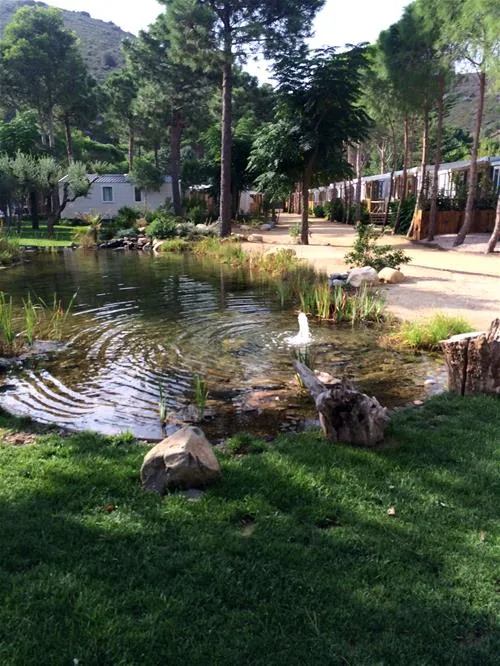 camping-sant-miquel-colera-maipt