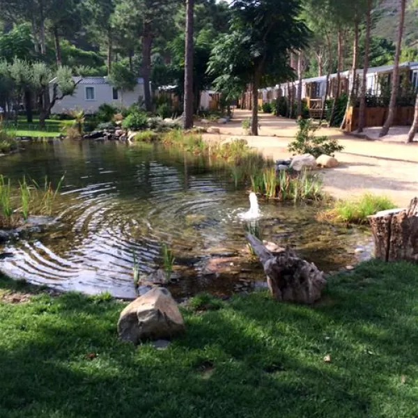camping-sant-miquel-colera-maipt