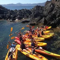 camping-sant-miquel-colera-wvwqj