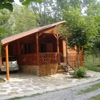 Del Remei
