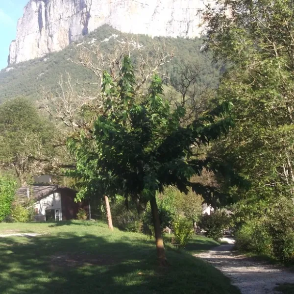 le-gouffre-de-la-croix-choranche-41ieu