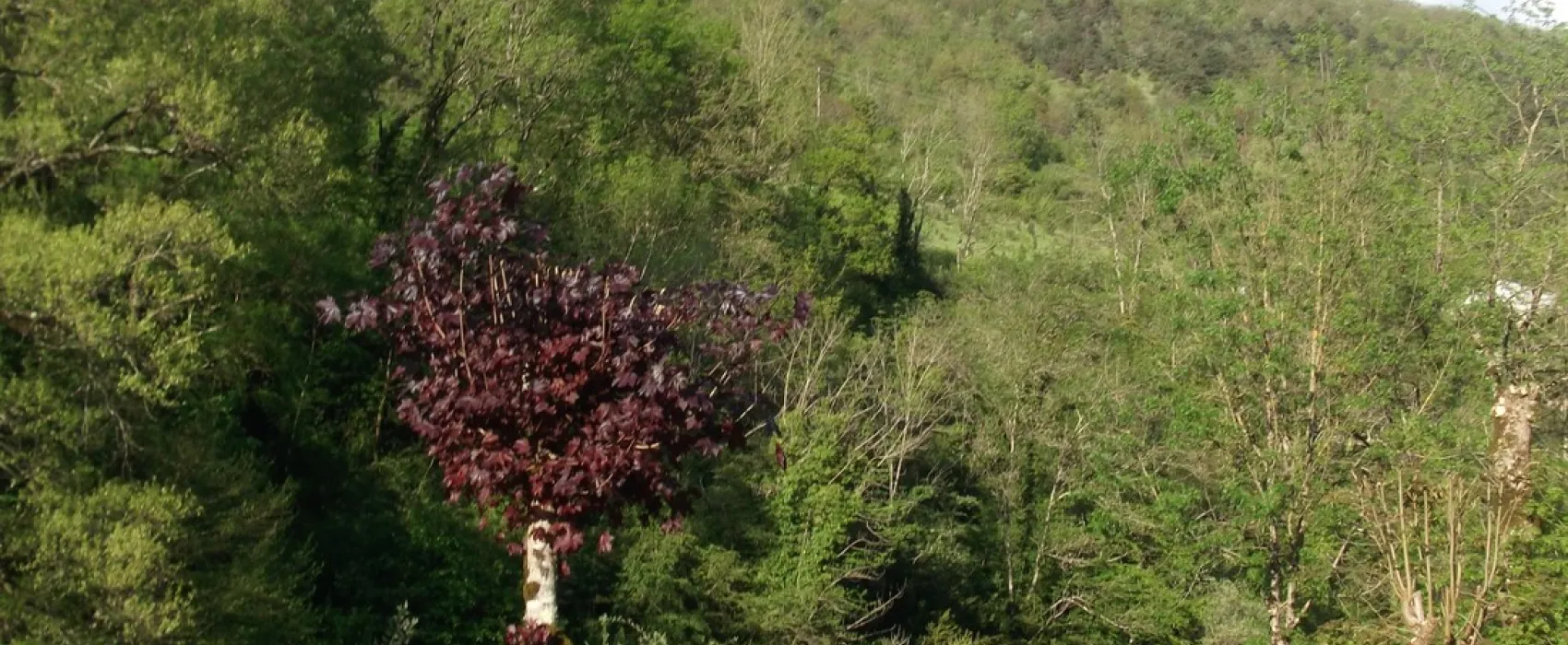 Le Gouffre de la Croix