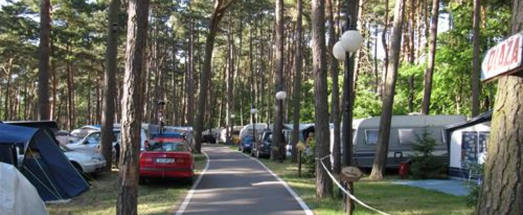Camping Wiking