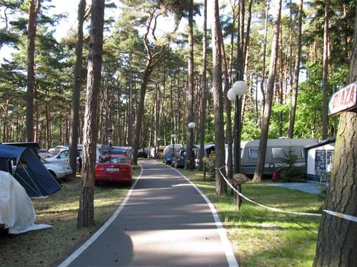 camping-wiking-dziwnwek-ci1ht