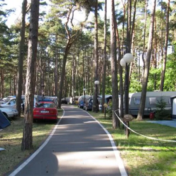 camping-wiking-dziwnwek-ci1ht