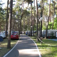 camping-wiking-dziwnwek-ci1ht