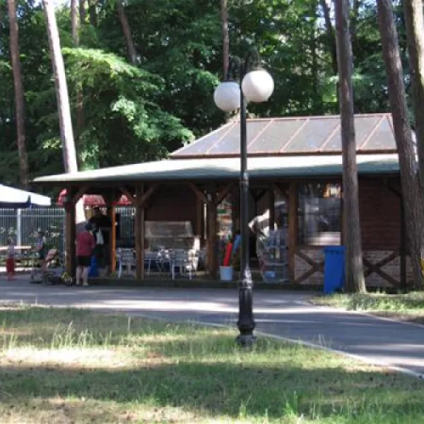 camping-wiking-dziwnwek-qvubd